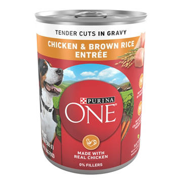 Purina ONE Tender Cuts in Wet Dog Food Gravy - Chicken and Brown Rice Entree, 13 oz