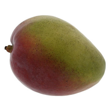 Fresh Organic Large Mango