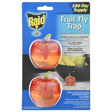 Raid Plastic Fruit Fly Traps, 2 pk