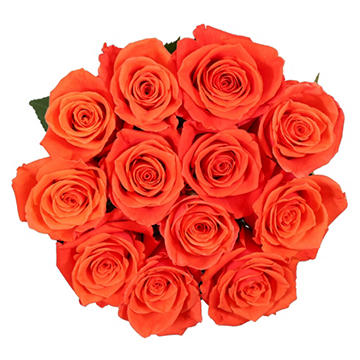 BLOOMS by H-E-B Dozen Orange Roses