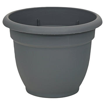 Bloem Ariana Charcoal Planter, 6 in