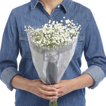 BLOOMS by H-E-B Baby's Breath Gypsophila, 1 bundle