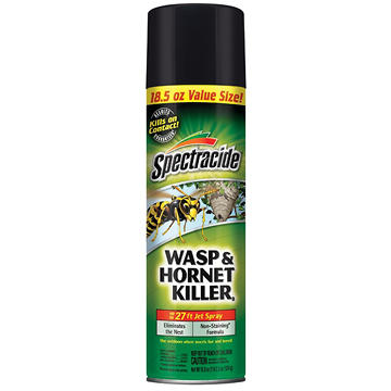 Spectracide Wasp & Hornet Killer Jet Spray, 18.5 oz