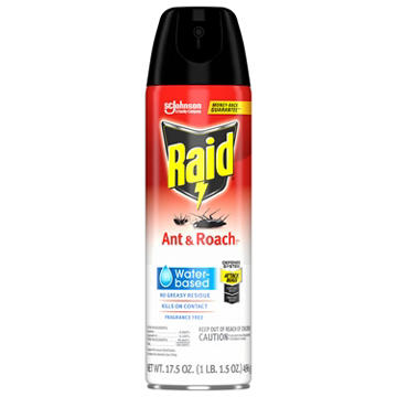 Raid Water-Based Ant & Roach Indoor Bug Spray, 17.5 oz