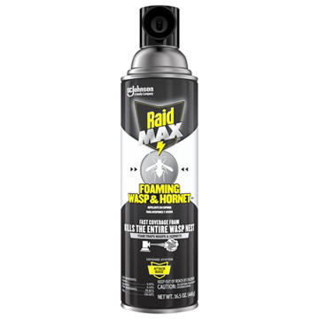Raid Max Foaming Wasp & Hornet Killer, 16.5 oz