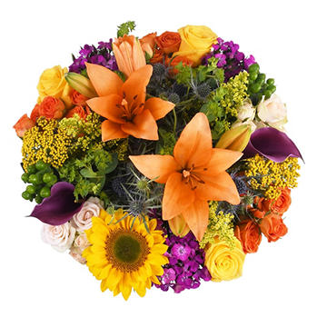 BLOOMS by H-E-B Hill Country Skies