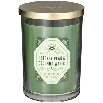 Destination Holiday Prickly Pear & Coconut Water Scented Candle, 20 oz