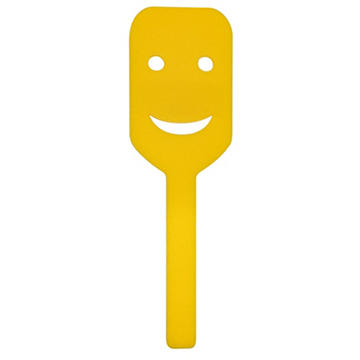 Happy Jack Smiley Face Pool Float