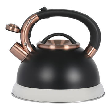 Mr. Coffee Matte Black & Copper Kettle, 2.2 qt