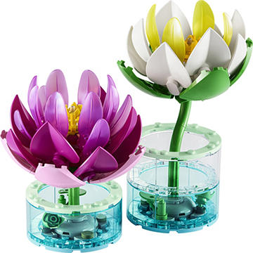 LEGO Botanicals Water Lilies, 259 pc