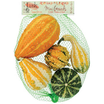 Fresh Bagged Mini Gourds, 5 ct