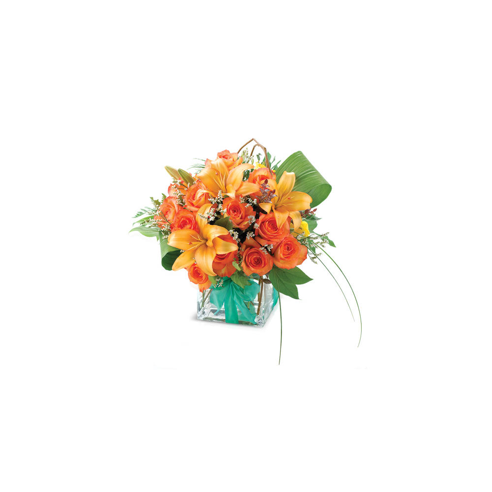 Rose Cube Shop Fresh Flowers at HEB