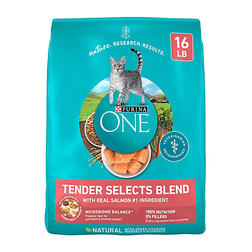 Purina ONE Tender Selects Blend Salmon Adult Dry Cat Food