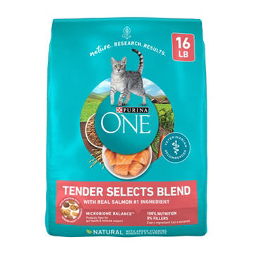 Purina ONE Natural Dry Cat Food - Tender Selects Blend With Real Salmon