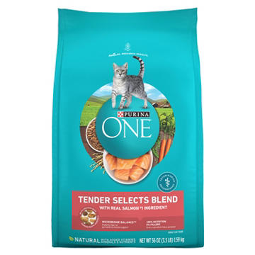 Purina ONE Natural Dry Cat Food - Tender Selects Blend With Real Salmon