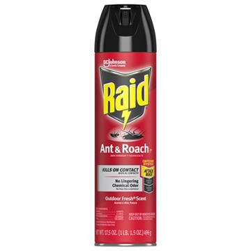Raid Ant & Roach Killer 26 - Outdoor Fresh
