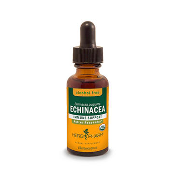 Herb Pharm Alcohol Free Echinacea Extract