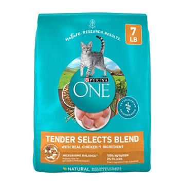 Purina ONE Natural Dry Cat Food - Tender Selects Blend With Real Chicken
