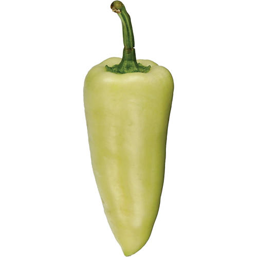 Fresh Yellow Caribe Peppers