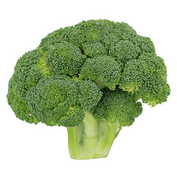 Fresh Broccoli Crowns