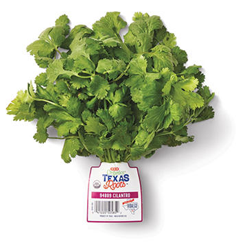 H-E-B Texas Roots Fresh Organic Cilantro