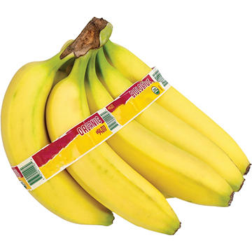 Fresh Bunch of Organic Bananas, 4-7 Bananas