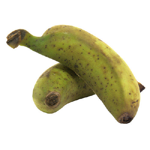 Fresh Manzano Bananas