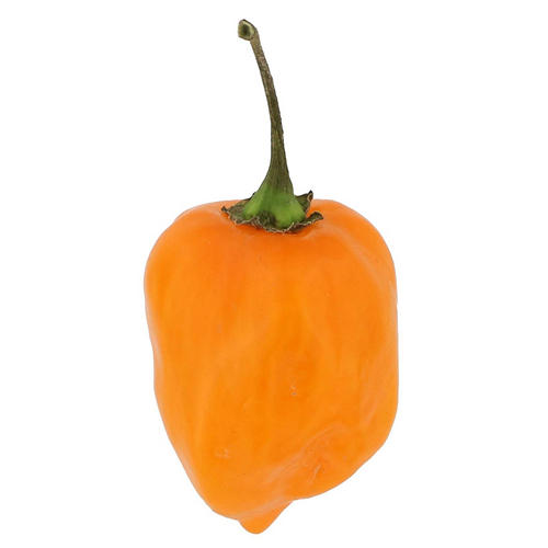 Fresh Habanero Peppers