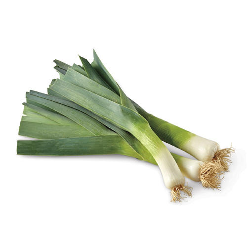 Fresh Leeks