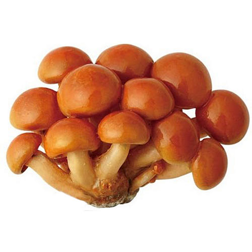 Nameko Mushroom - Shop Mushrooms at H-E-B