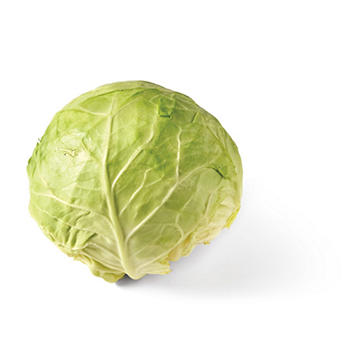 Fresh Organic Green Cabbage