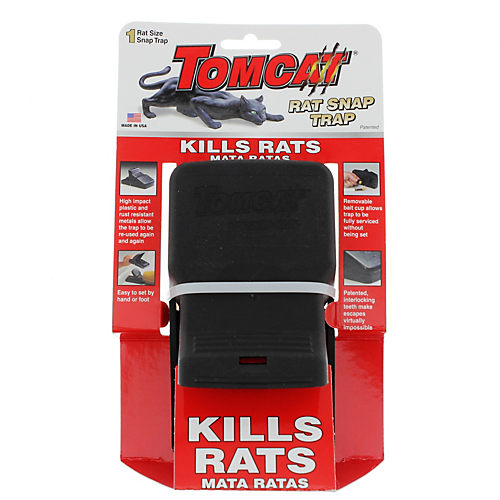 Tomcat Mouse Size Glue Traps - Shop Mouse Traps & Poison at H-E-B