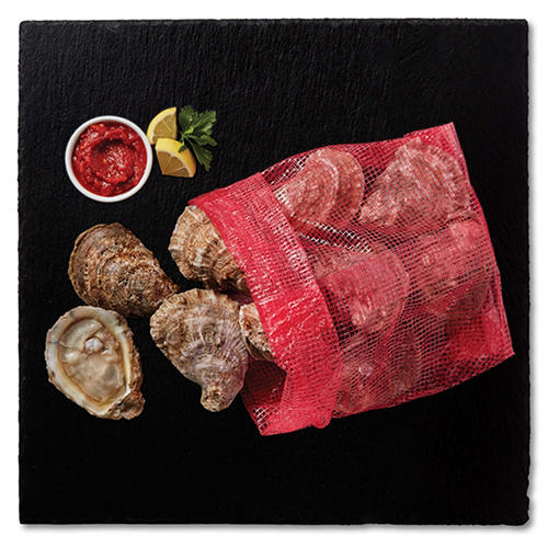 Fresh Shell Oysters
