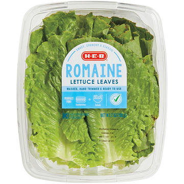 H-E-B Fresh Romaine Lettuce Leaves