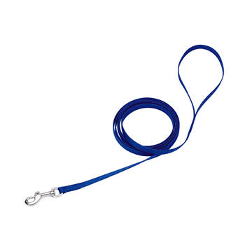 Coastal Pet Products Nylon 4 Foot Blue Leash