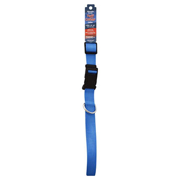Coastal Pet Products Lagoon Blue 1" X 26" Adjustable Nylon Collar