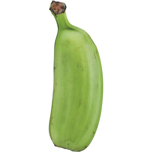 Fresh Hawaiian Plantains