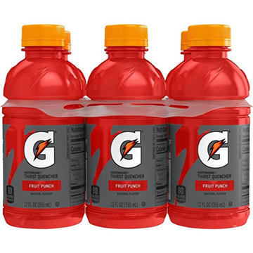 Gatorade Fruit Punch Thirst Quencher 6 pk Bottles