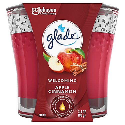 Glade Fresh Berries and Wild Raspberry Wax Melts - Shop Scented Oils & Wax  at H-E-B