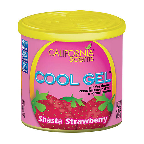 California Scents California Scents Car Scents Spillproof Canister