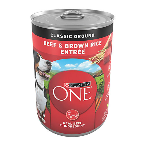 Purina one smartblend true instinct store canned food