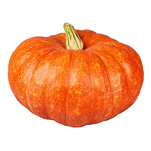 Squash & Pumpkins - Shop H-E-B Everyday Low Prices