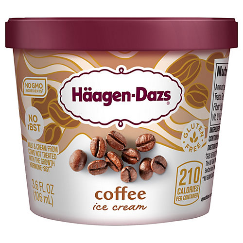 Haagen-Dazs Ice Cream 1/6 scale (4pcs) – Tiny Must Haves