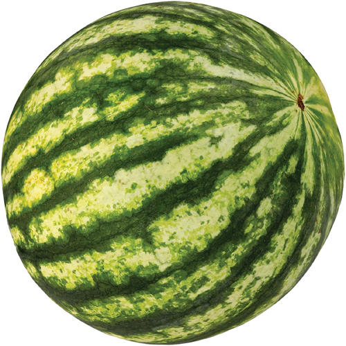Fresh Organic Mini Personal Watermelon