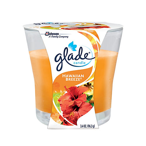 Glade Fresh Berries and Wild Raspberry Wax Melts - Shop Scented Oils & Wax  at H-E-B