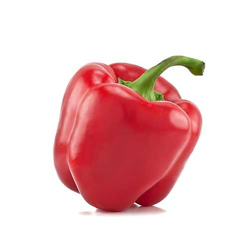 Fresh Organic Red Bell Pepper - Shop Peppers at H-E-B