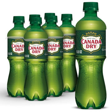 Canada Dry Ginger Ale Soda 6 pk Bottles