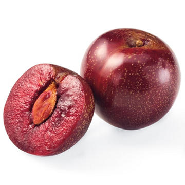 Fresh Red Plumcot