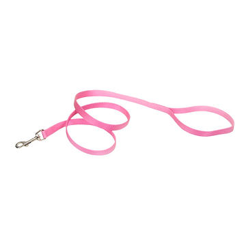 Coastal Pet Products Nylon Dog Lead