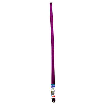 Coastal Pet Products 6 Foot Purple Leash